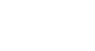 GT Radial