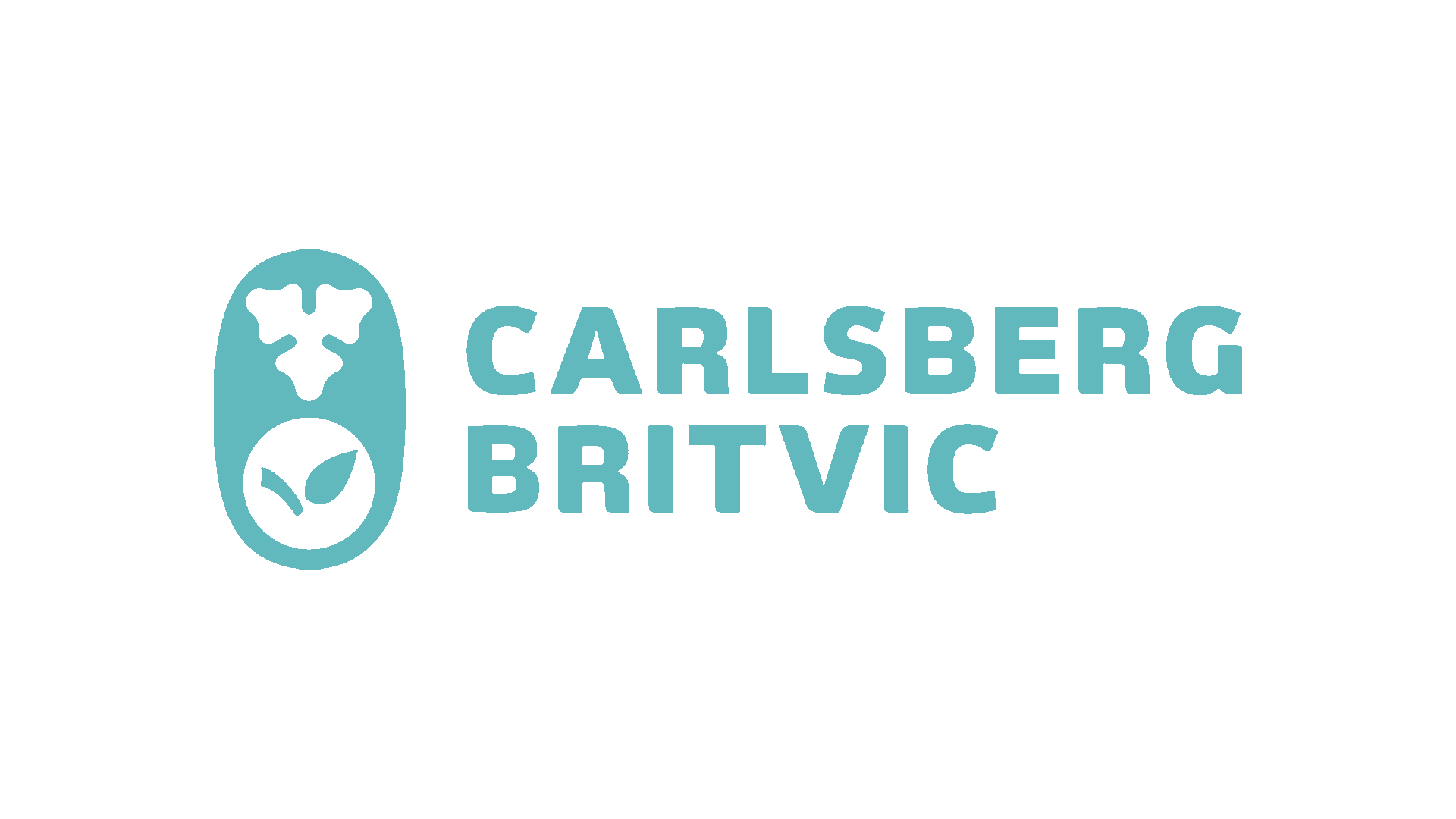 Carlsberg_Partner.png