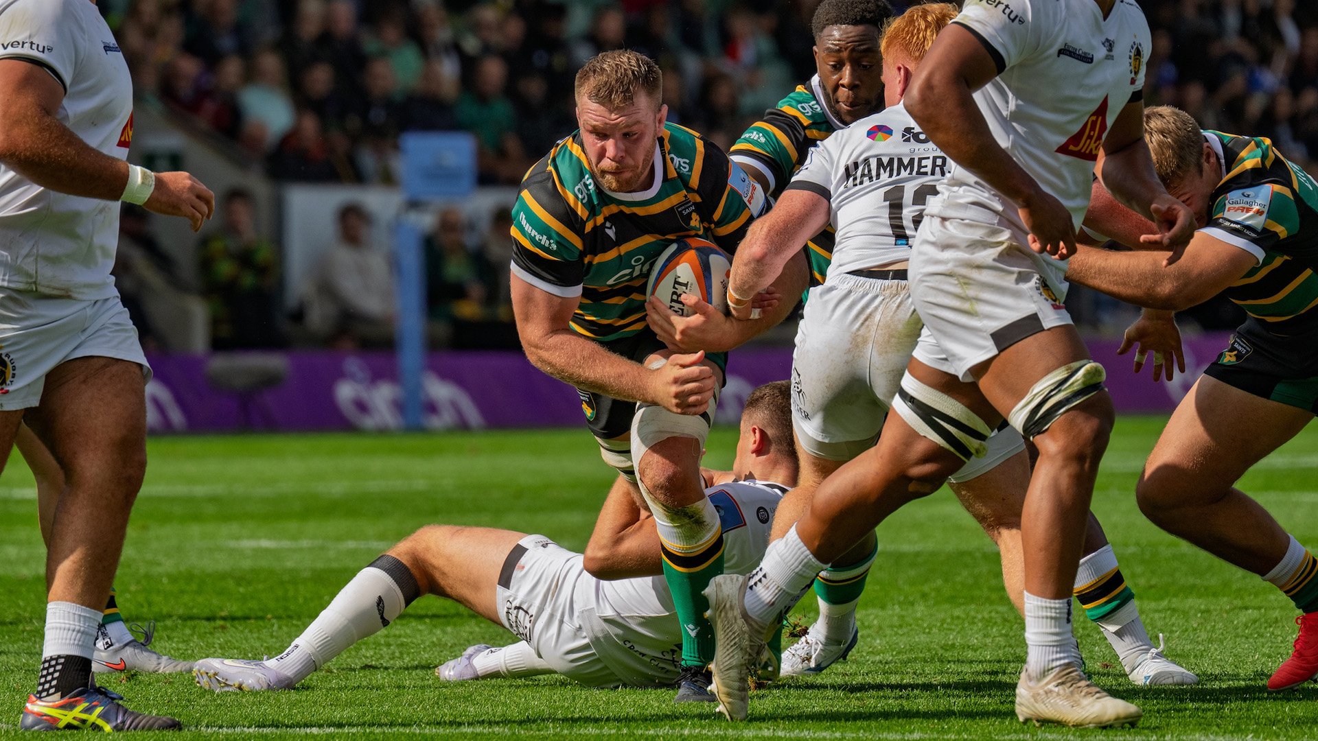 Callum Chick of Northampton Saints