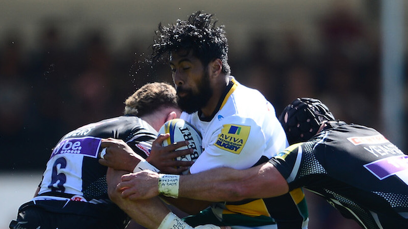 Islanders heading home for summer internationals | Northampton Saints