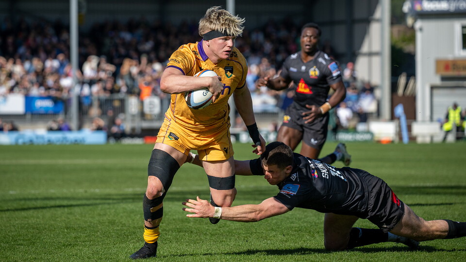 Henry Pollock of Northampton Saints 
