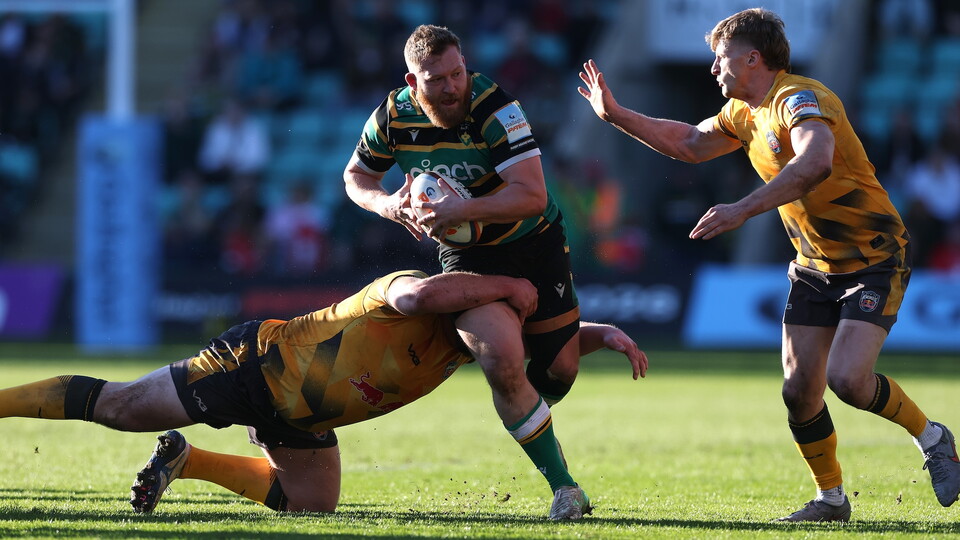 Tom West of Northampton Saints
