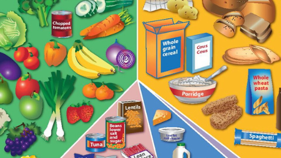 Nutrition and Hydration with Northampton Saints Foundation