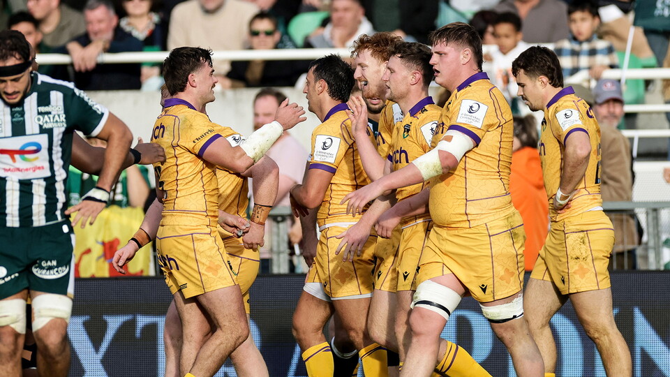 Northampton Saints celebrate defeating Section Paloise