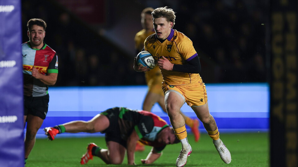 Archie Mcparland of Northampton Saints 