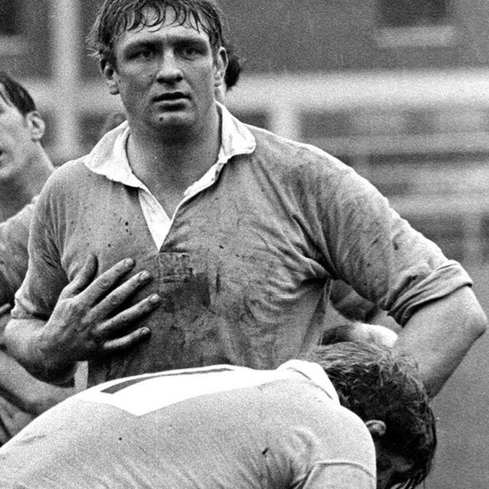 Peter Larter
